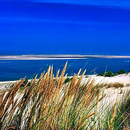 Hotel Le Sporting Lege-Cap-Ferret