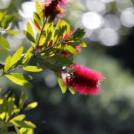 Le Sporting Lège-Cap-Ferret