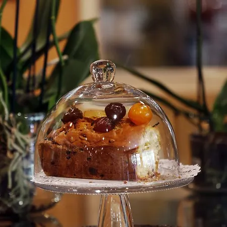 Le Sporting Lège-Cap-Ferret