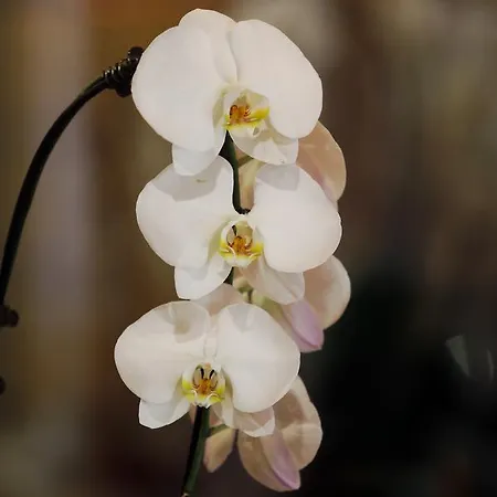 Szálloda Le Sporting