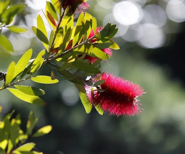 Le Sporting Lège-Cap-Ferret